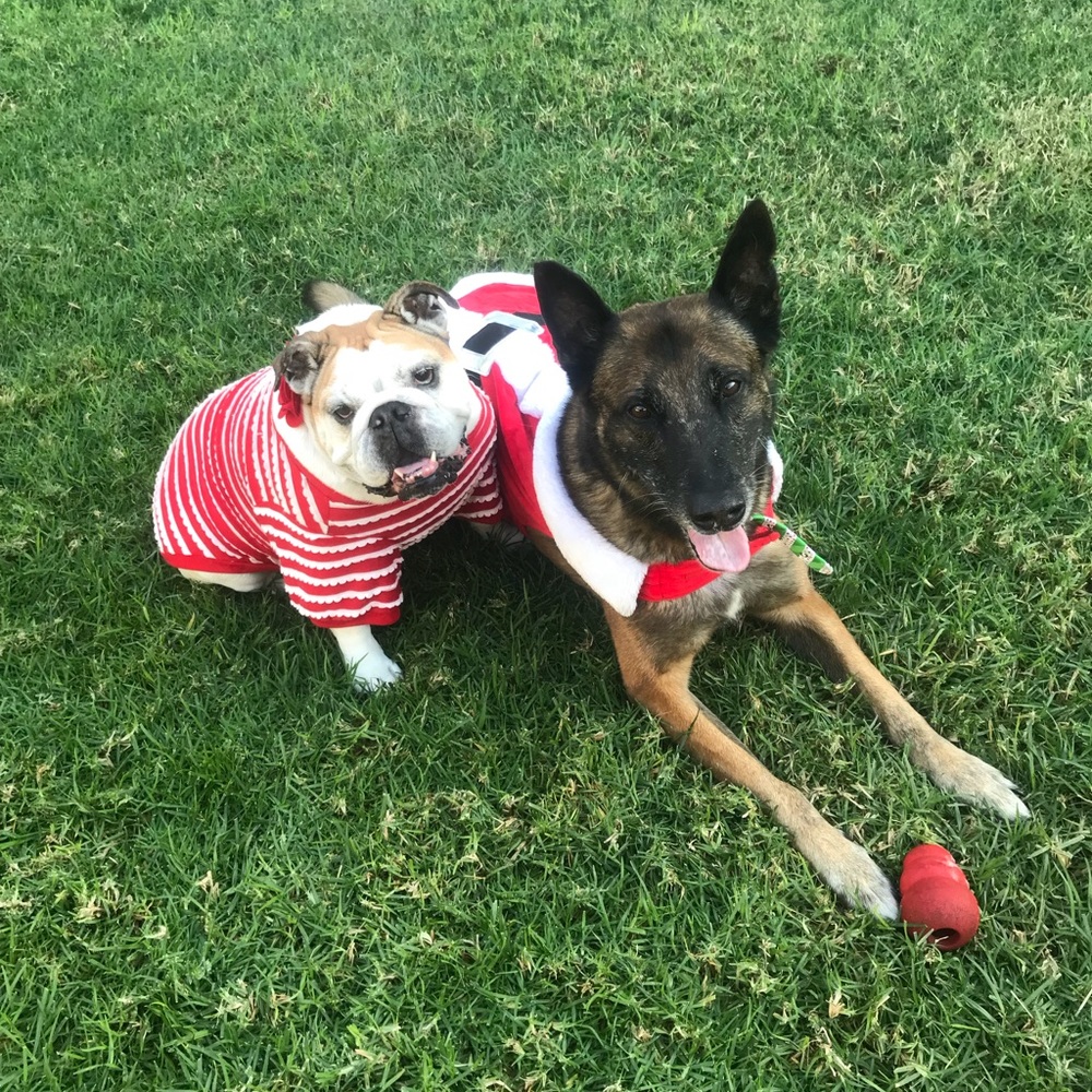 Meet your Posher, Lizette